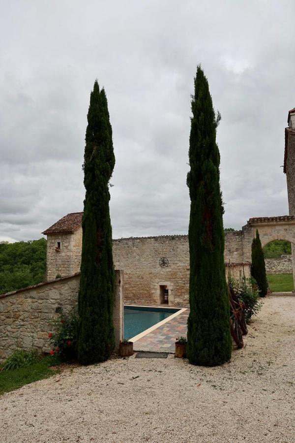 Chateau De Pleneselve Bon-Encontre Exterior foto