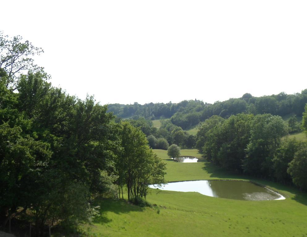 Chateau De Pleneselve Bon-Encontre Zimmer foto